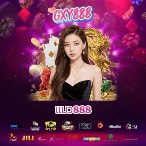 แมว888